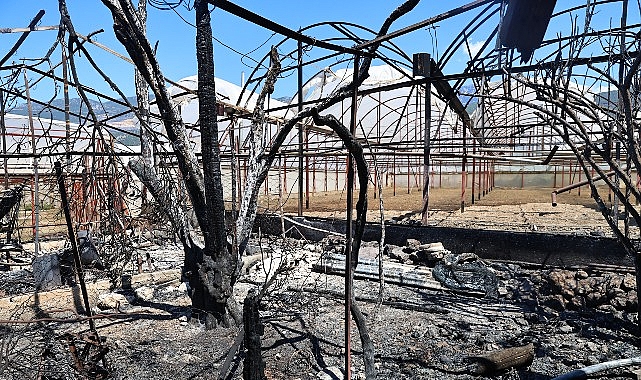 Büyükşehir Kaş’ta yangınzedelerin yanında